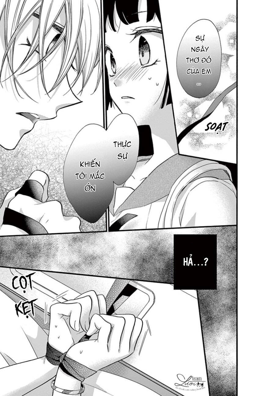 Chàng Rể Giả Nhân Giả Nghĩa Chapter 20 - 23