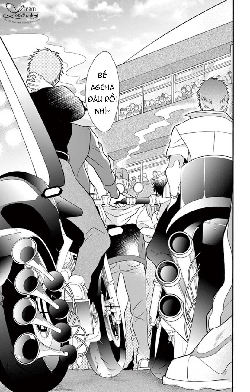 Chàng Rể Giả Nhân Giả Nghĩa Chapter 17 - 20