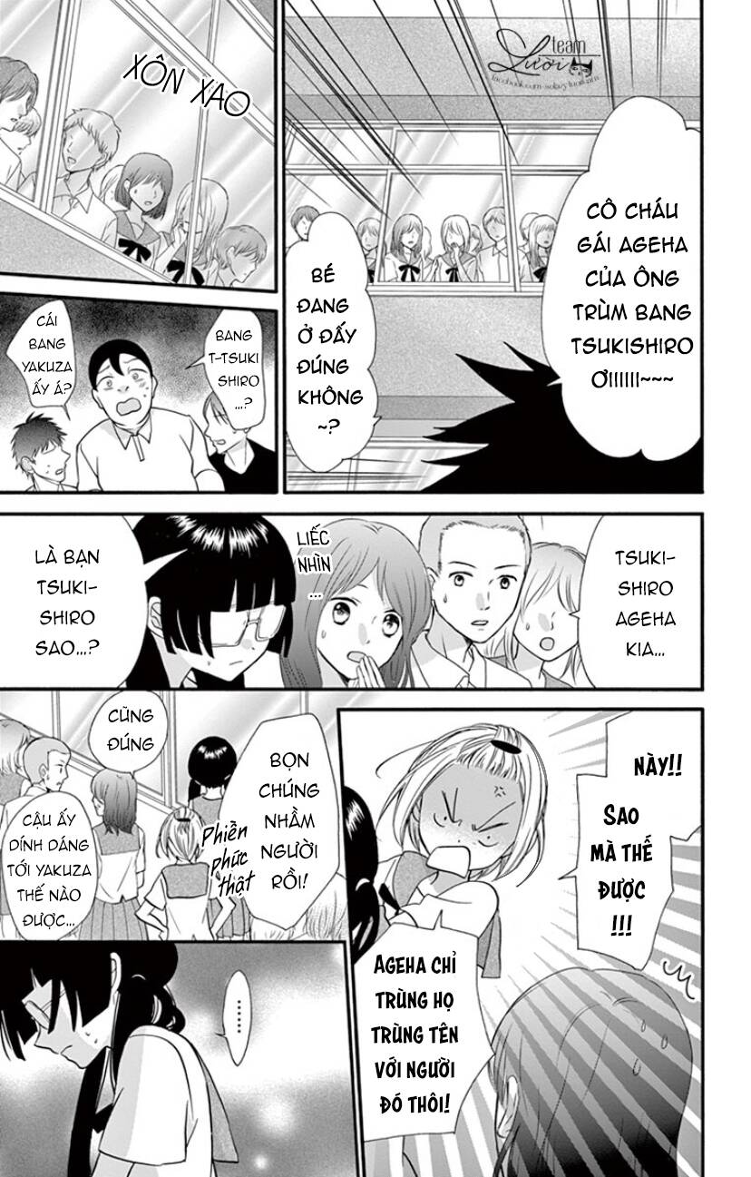 Chàng Rể Giả Nhân Giả Nghĩa Chapter 17 - 22