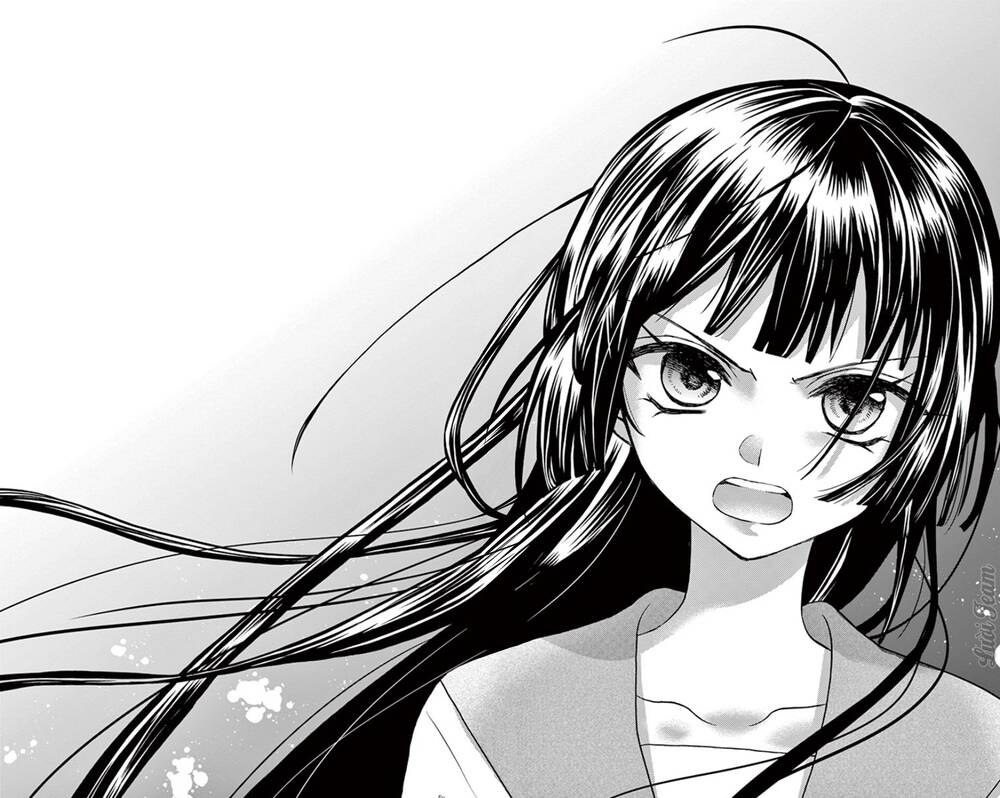 Chàng Rể Giả Nhân Giả Nghĩa Chapter 17 - 34