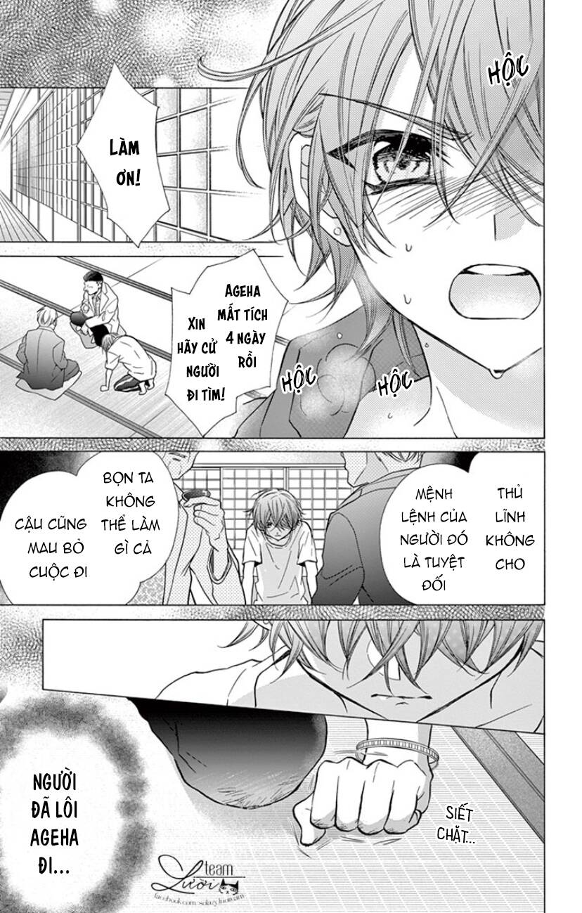 Chàng Rể Giả Nhân Giả Nghĩa Chapter 17 - 6