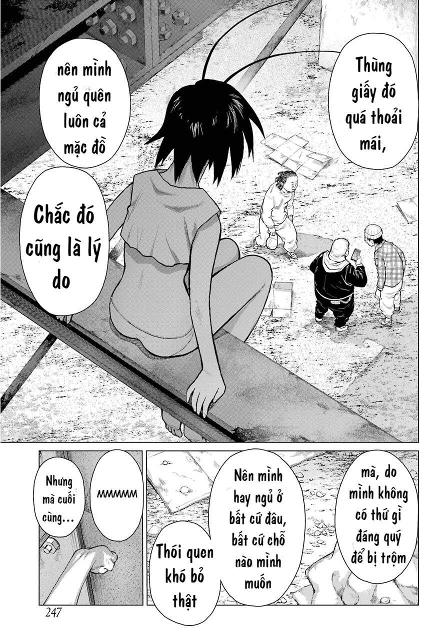 Blattodea Chapter 1 - 11