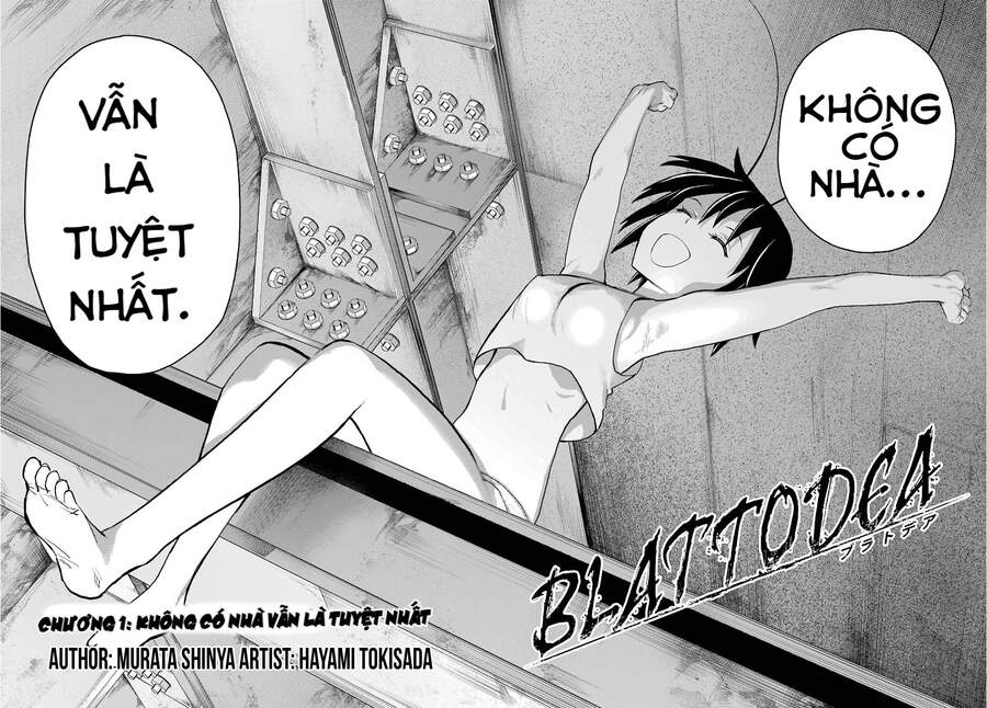 Blattodea Chapter 1 - 12