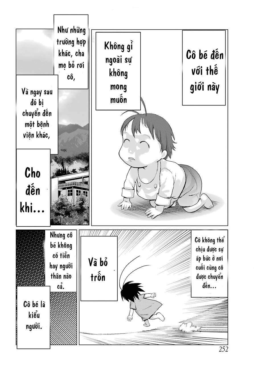 Blattodea Chapter 1 - 15