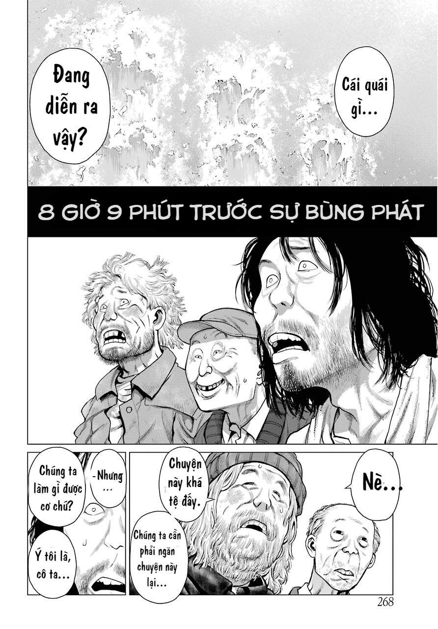 Blattodea Chapter 1 - 31