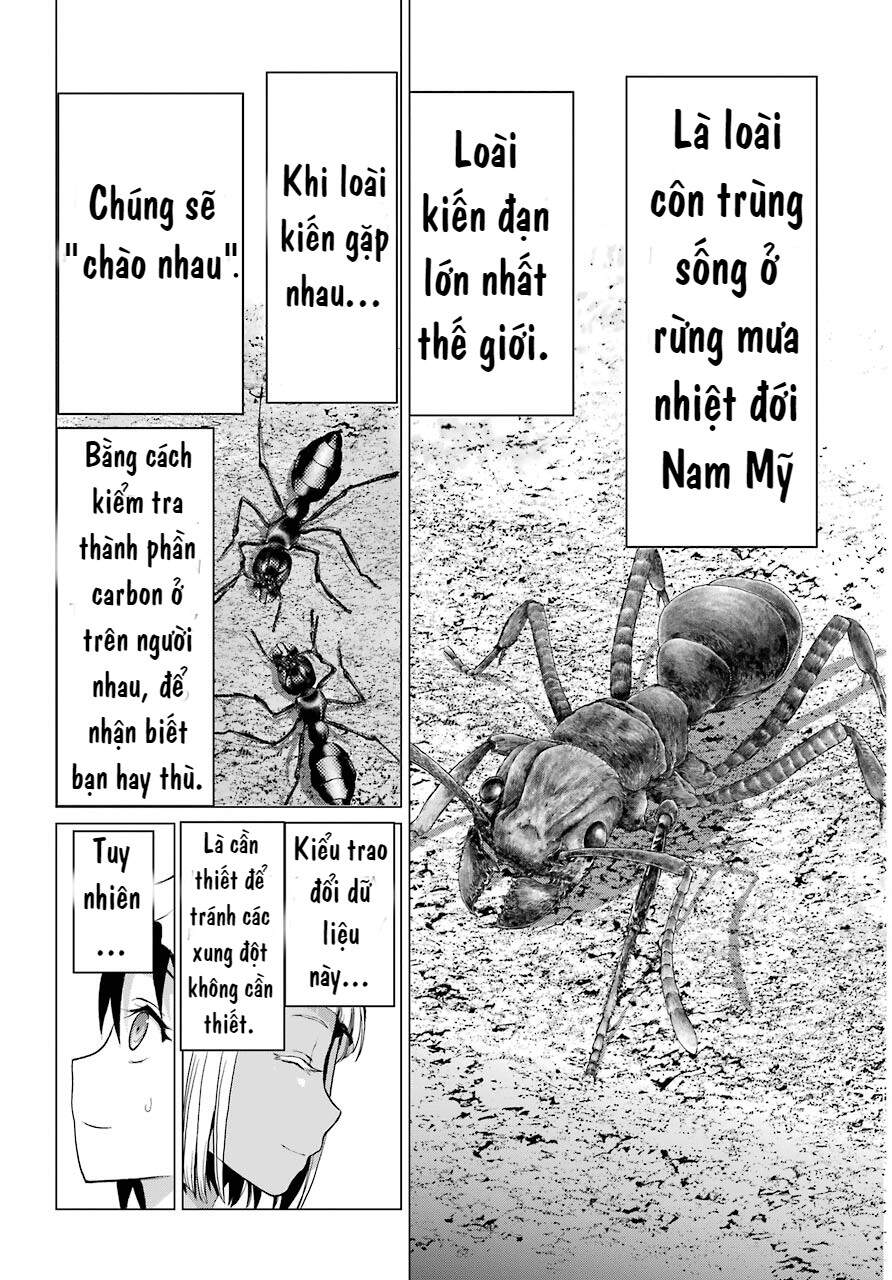 Blattodea Chapter 1 - 40