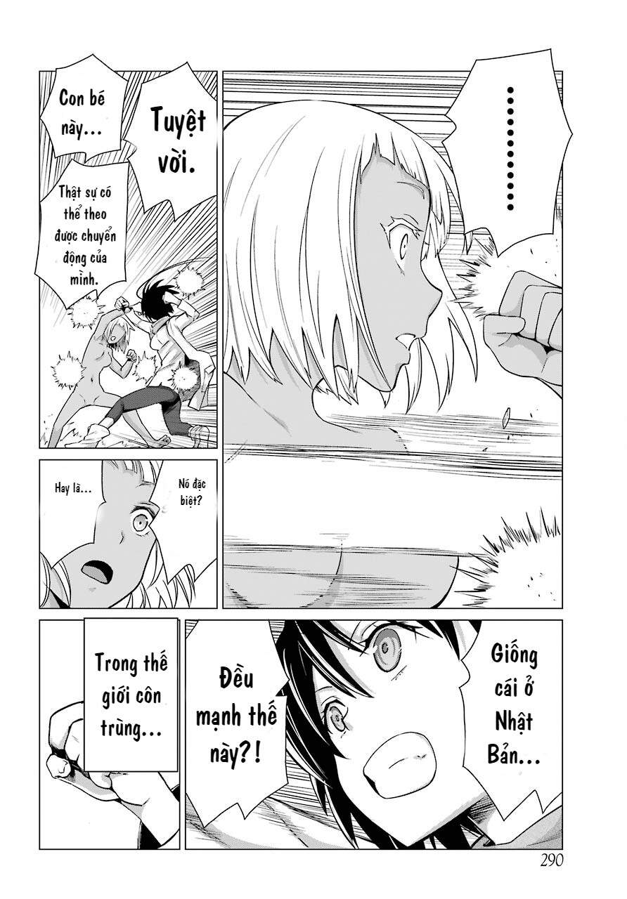 Blattodea Chapter 1 - 51