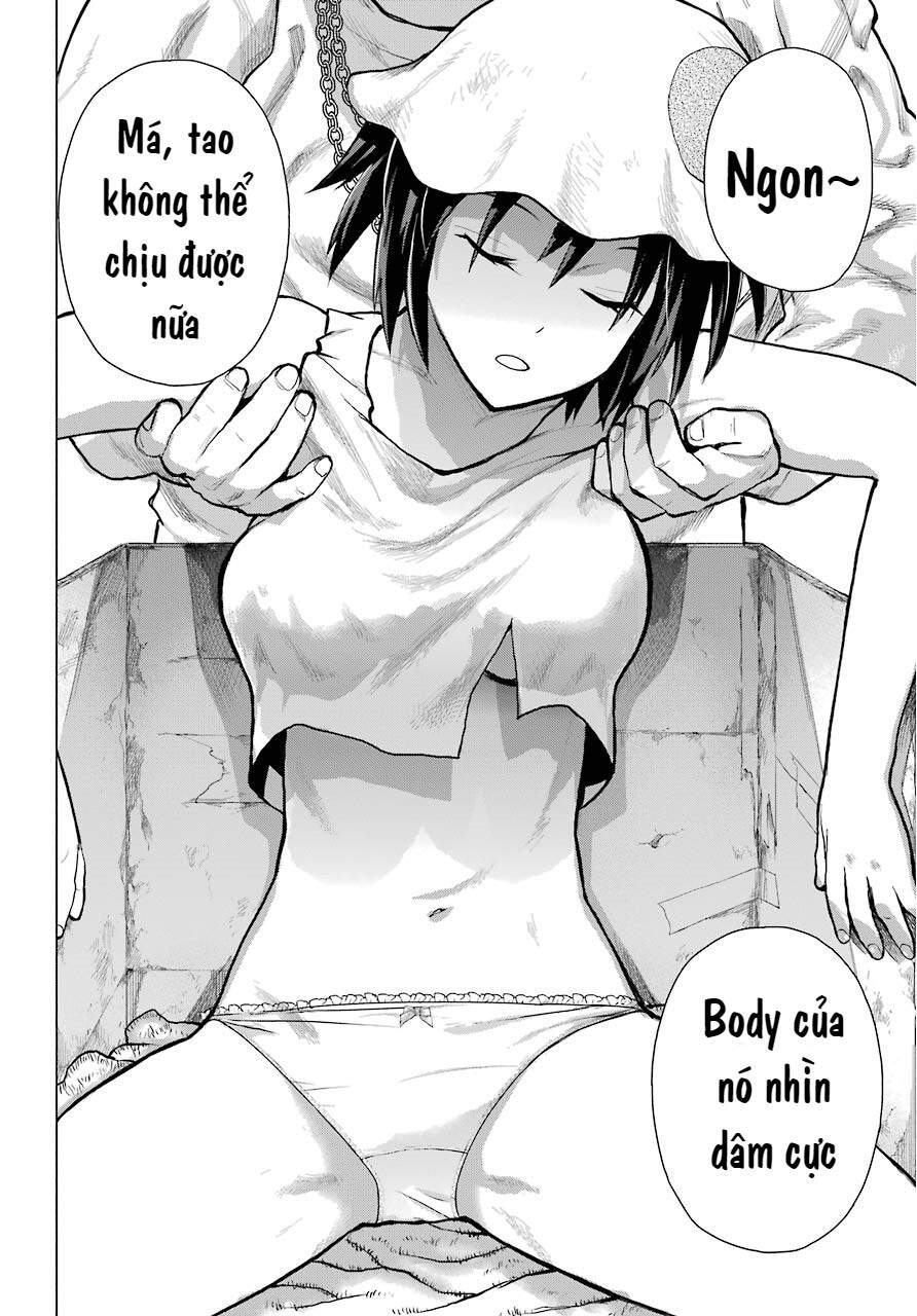 Blattodea Chapter 1 - 7