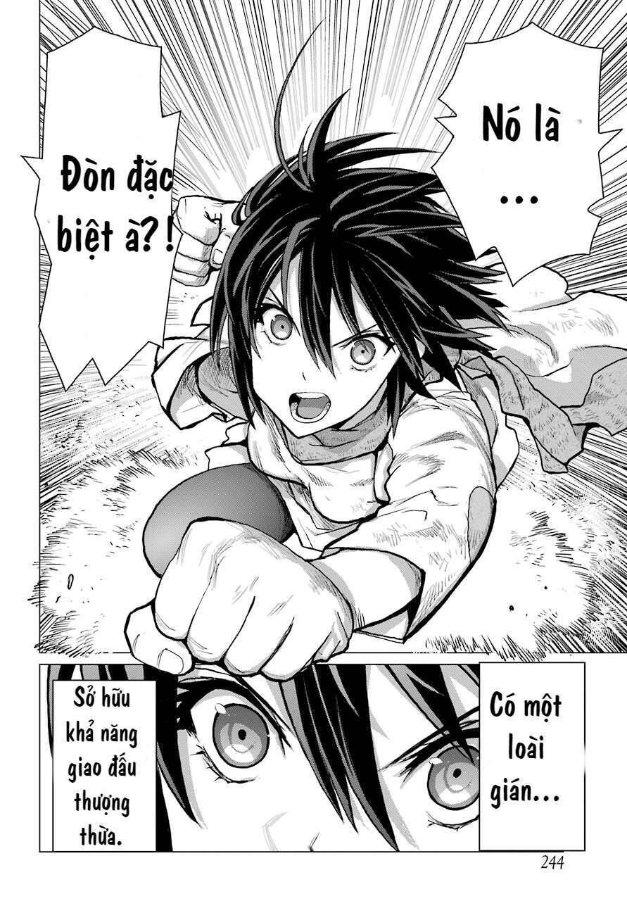 Blattodea Chapter 2 - 14