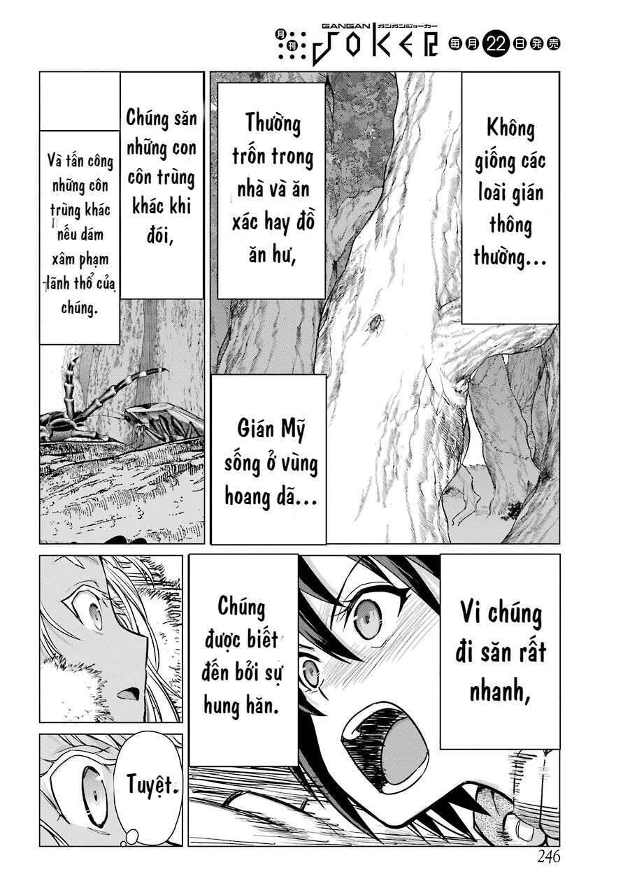 Blattodea Chapter 2 - 16