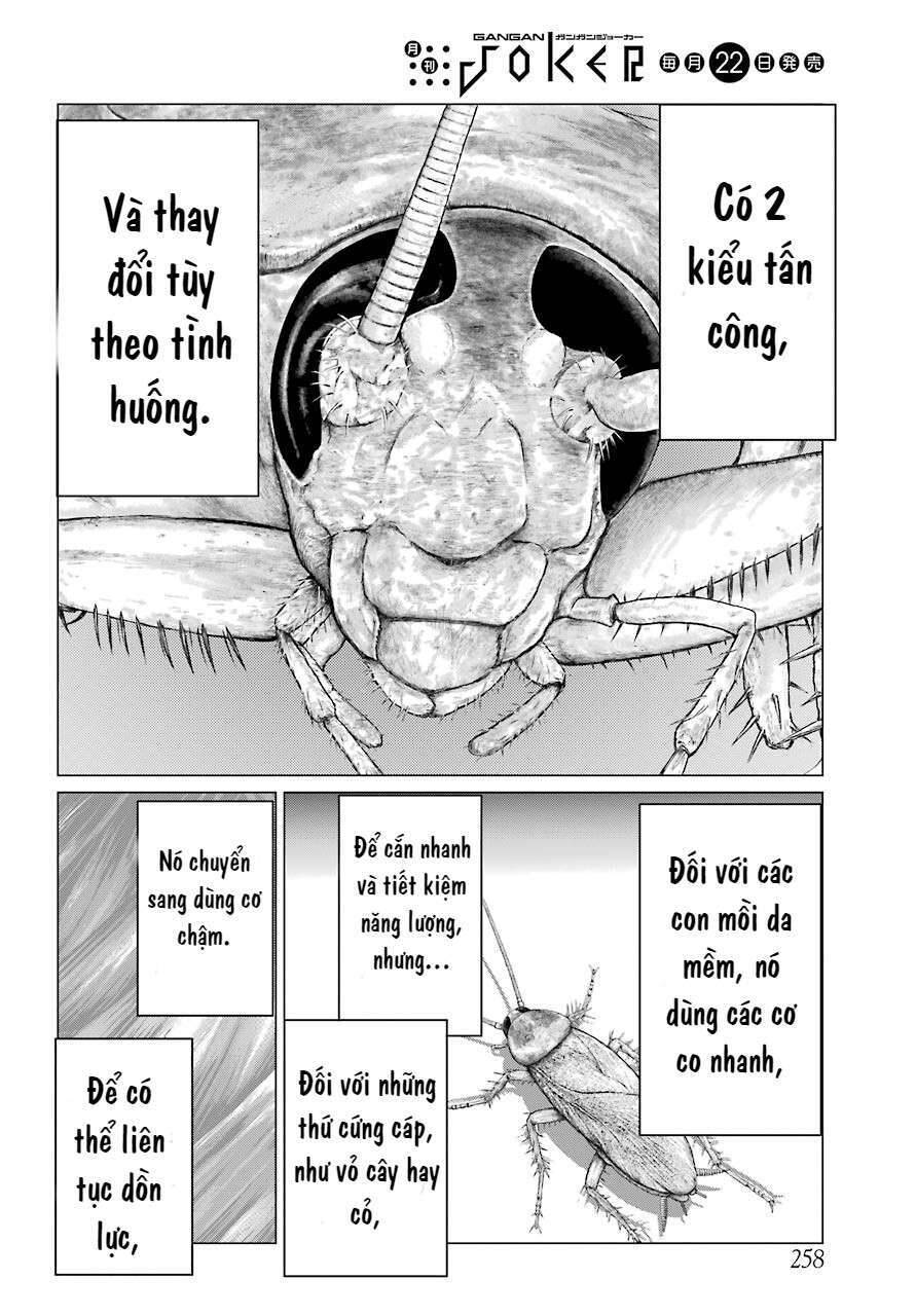 Blattodea Chapter 2 - 27