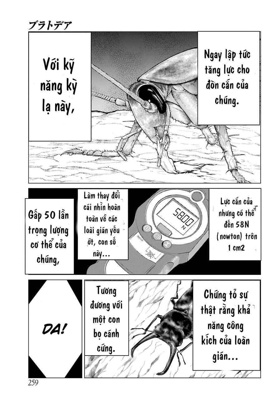 Blattodea Chapter 2 - 28