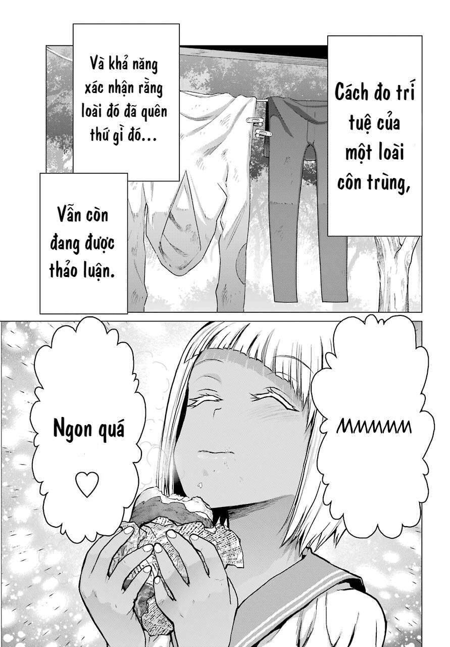 Blattodea Chapter 2 - 48