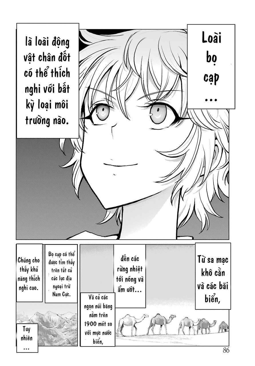 Blattodea Chapter 3 - 22