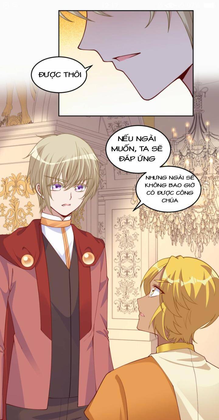 Quy Tắc Sinh Tồn Của Công Chúa Chapter 97.1 - 24