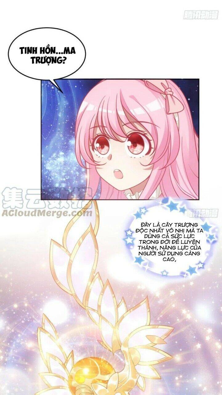 Quy Tắc Sinh Tồn Của Công Chúa Chapter 76 - 4