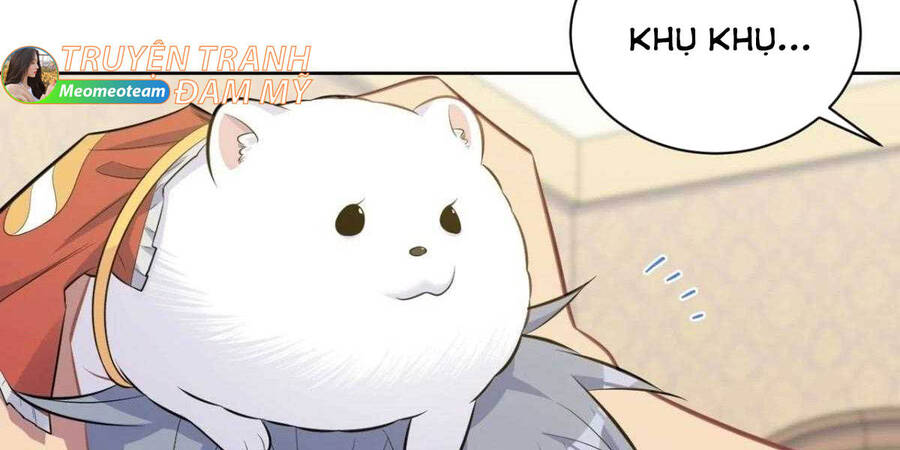 Cha Vợ Đại Nhân Là Bà Xã Chapter 141 - 25