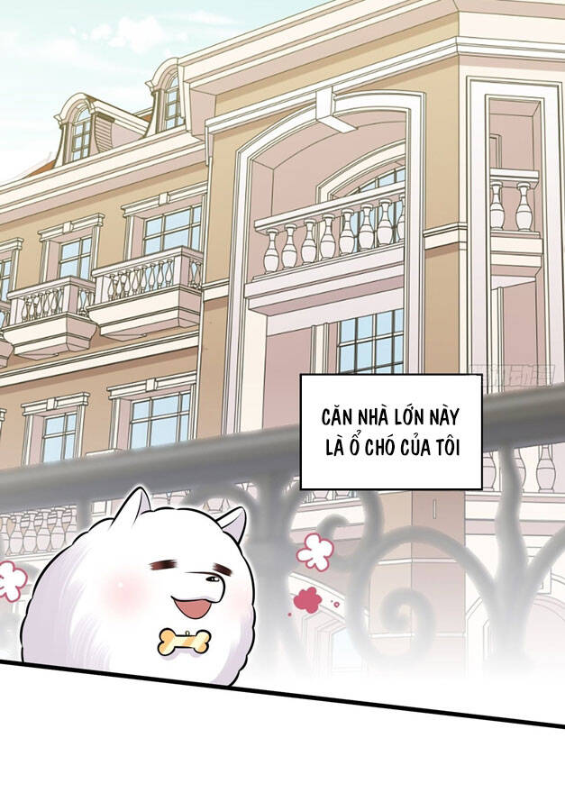 Cha Vợ Đại Nhân Là Bà Xã Chapter 156 - 3