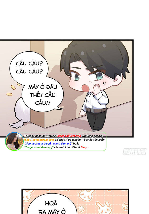 Cha Vợ Đại Nhân Là Bà Xã Chapter 156 - 4