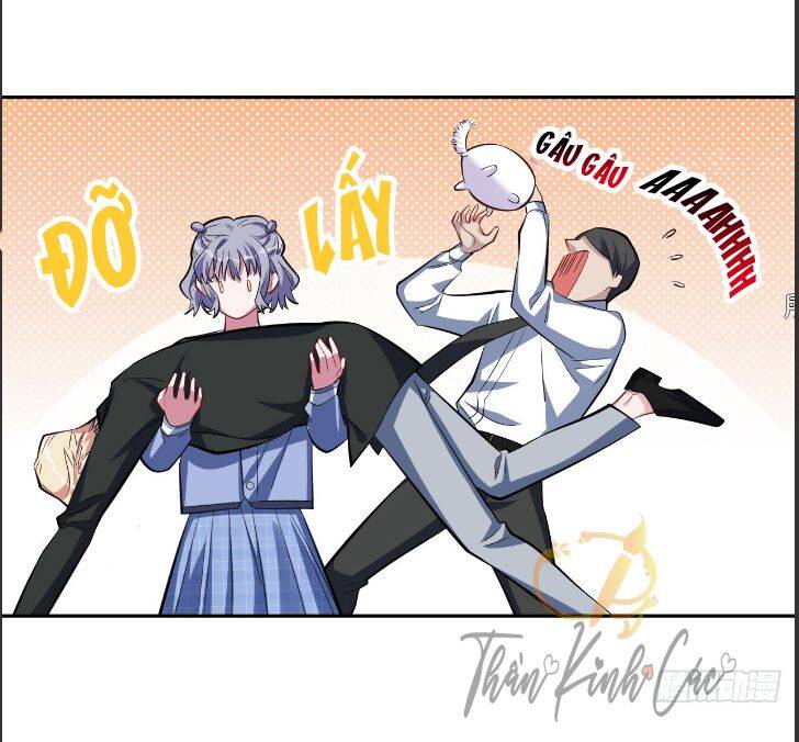 Cha Vợ Đại Nhân Là Bà Xã Chapter 23 - 36