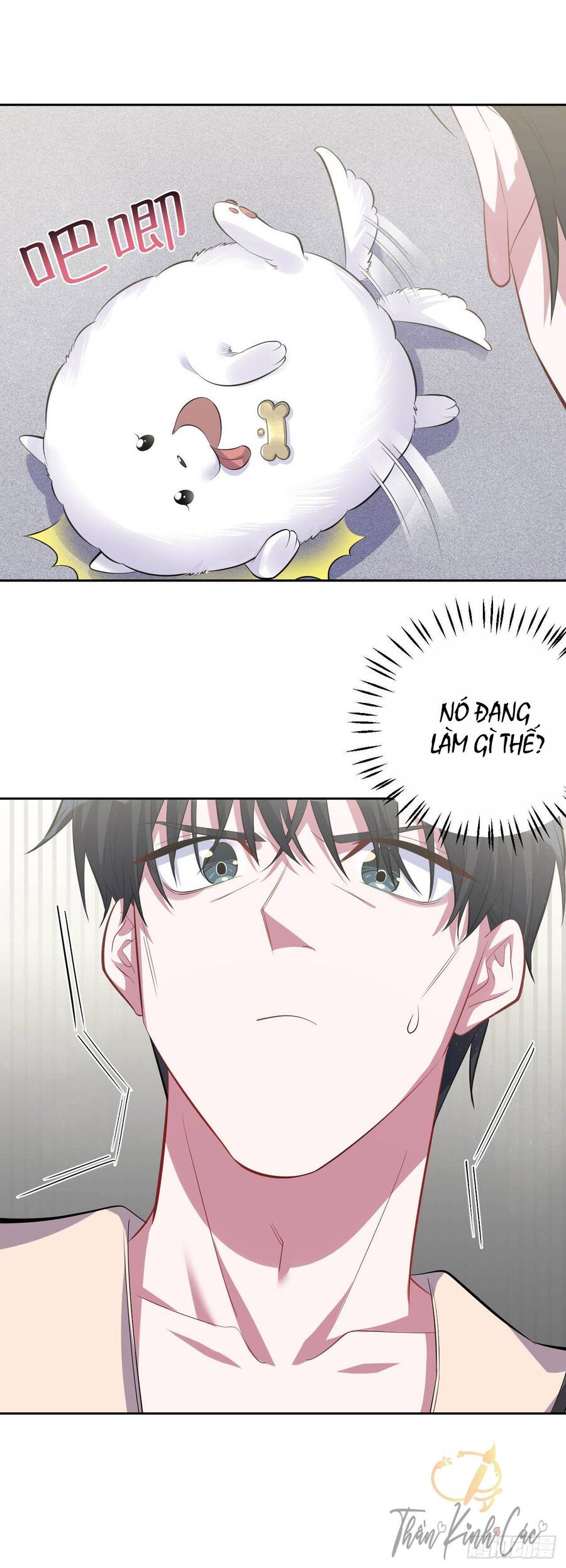 Cha Vợ Đại Nhân Là Bà Xã Chapter 27 - 21