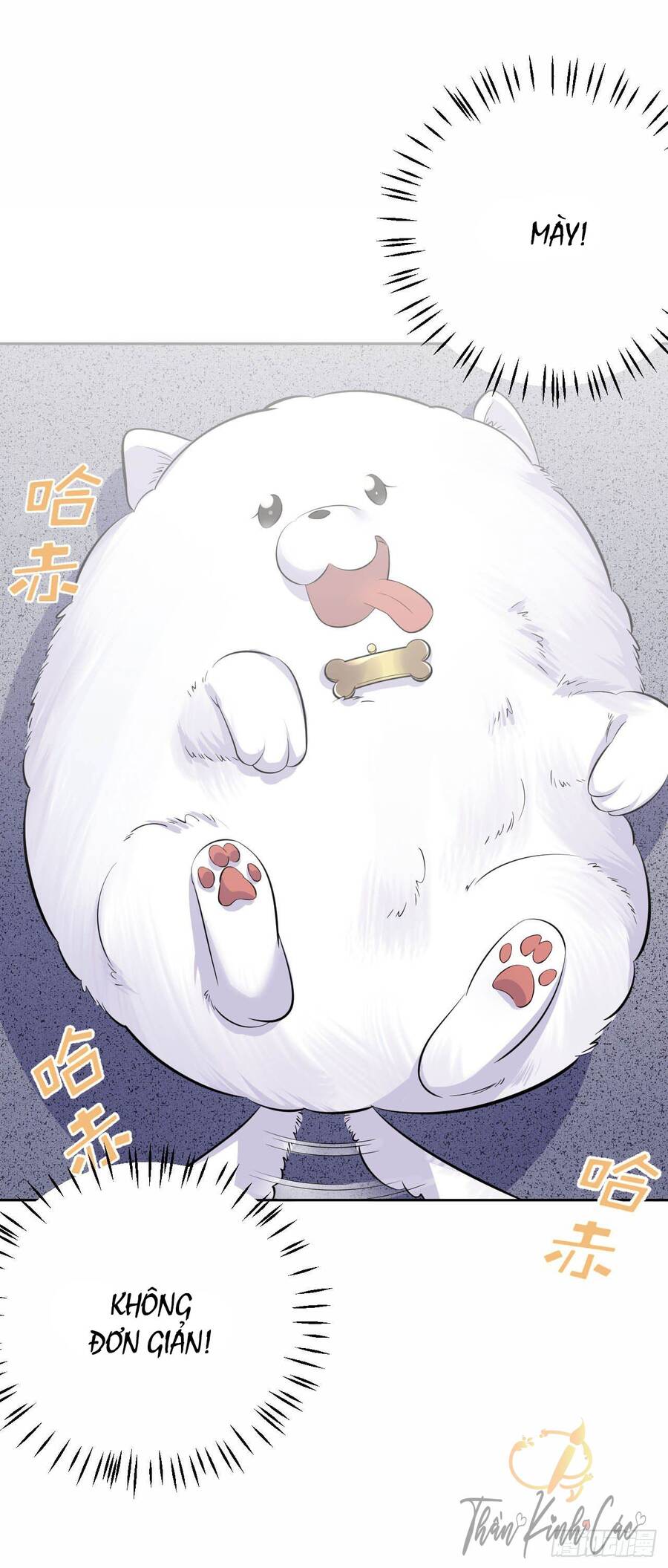 Cha Vợ Đại Nhân Là Bà Xã Chapter 27 - 25