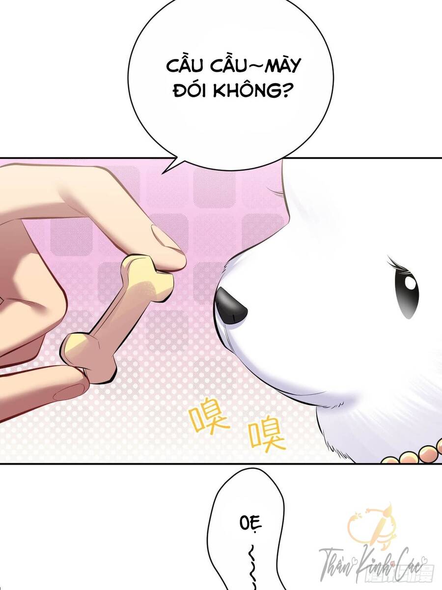 Cha Vợ Đại Nhân Là Bà Xã Chapter 28 - 15