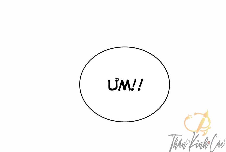 Cha Vợ Đại Nhân Là Bà Xã Chapter 37 - 14