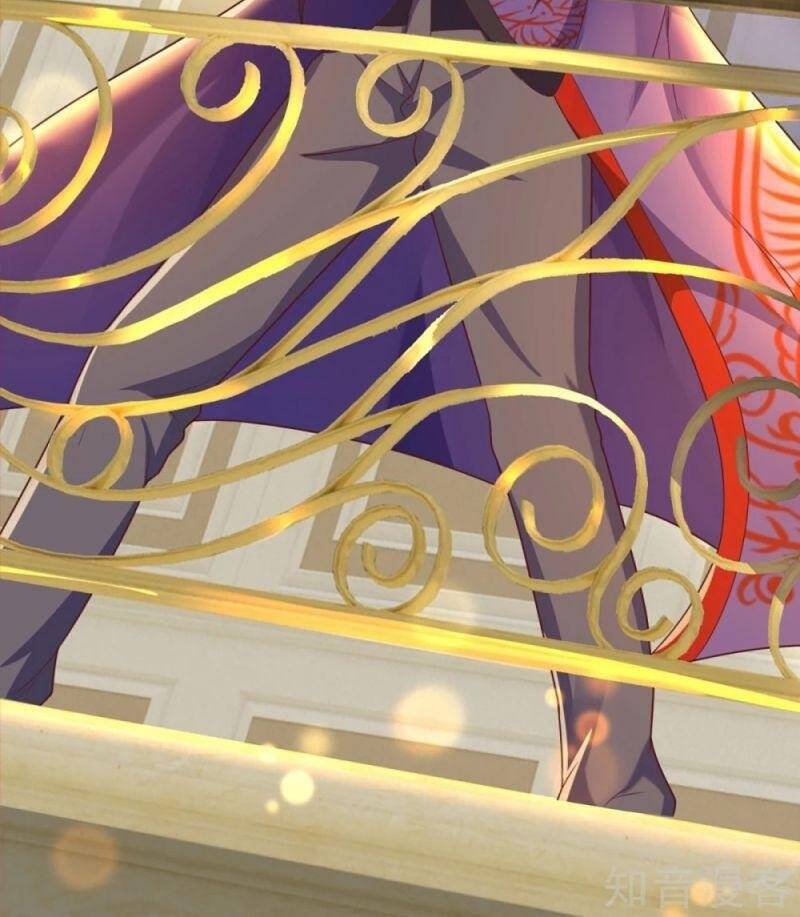 Vú Em Tiên Tôn Đi Ở Rể Chapter 196 - 12