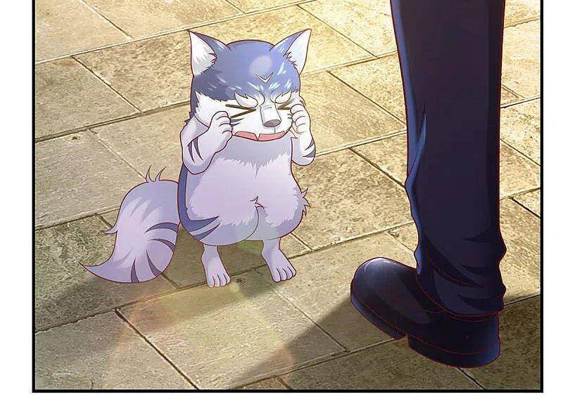 Vú Em Tiên Tôn Đi Ở Rể Chapter 220 - 21