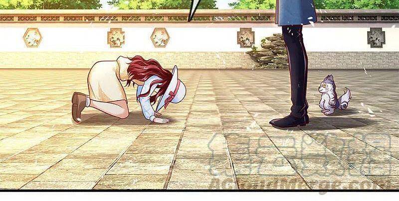 Vú Em Tiên Tôn Đi Ở Rể Chapter 221 - 15