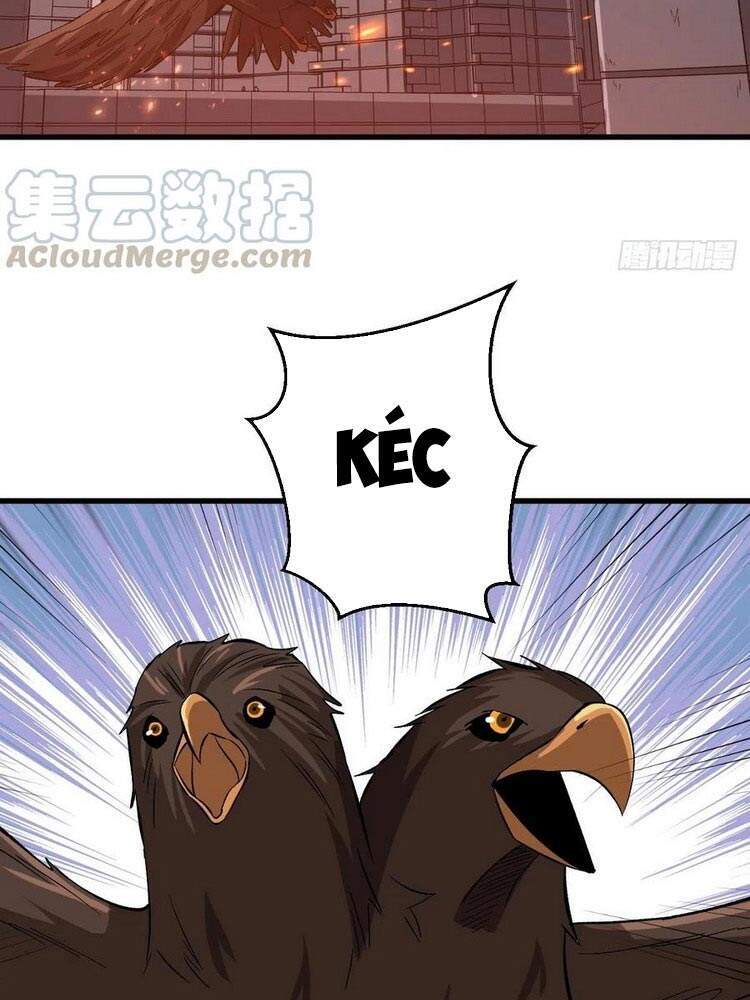 Trở Về Làm Đại Lão Thời Mạt Thế Chapter 162 - 10