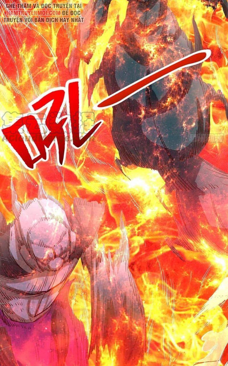 Trở Về Làm Đại Lão Thời Mạt Thế Chapter 255 - 25