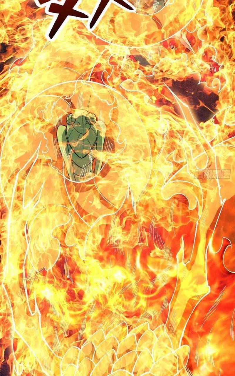 Trở Về Làm Đại Lão Thời Mạt Thế Chapter 255 - 36