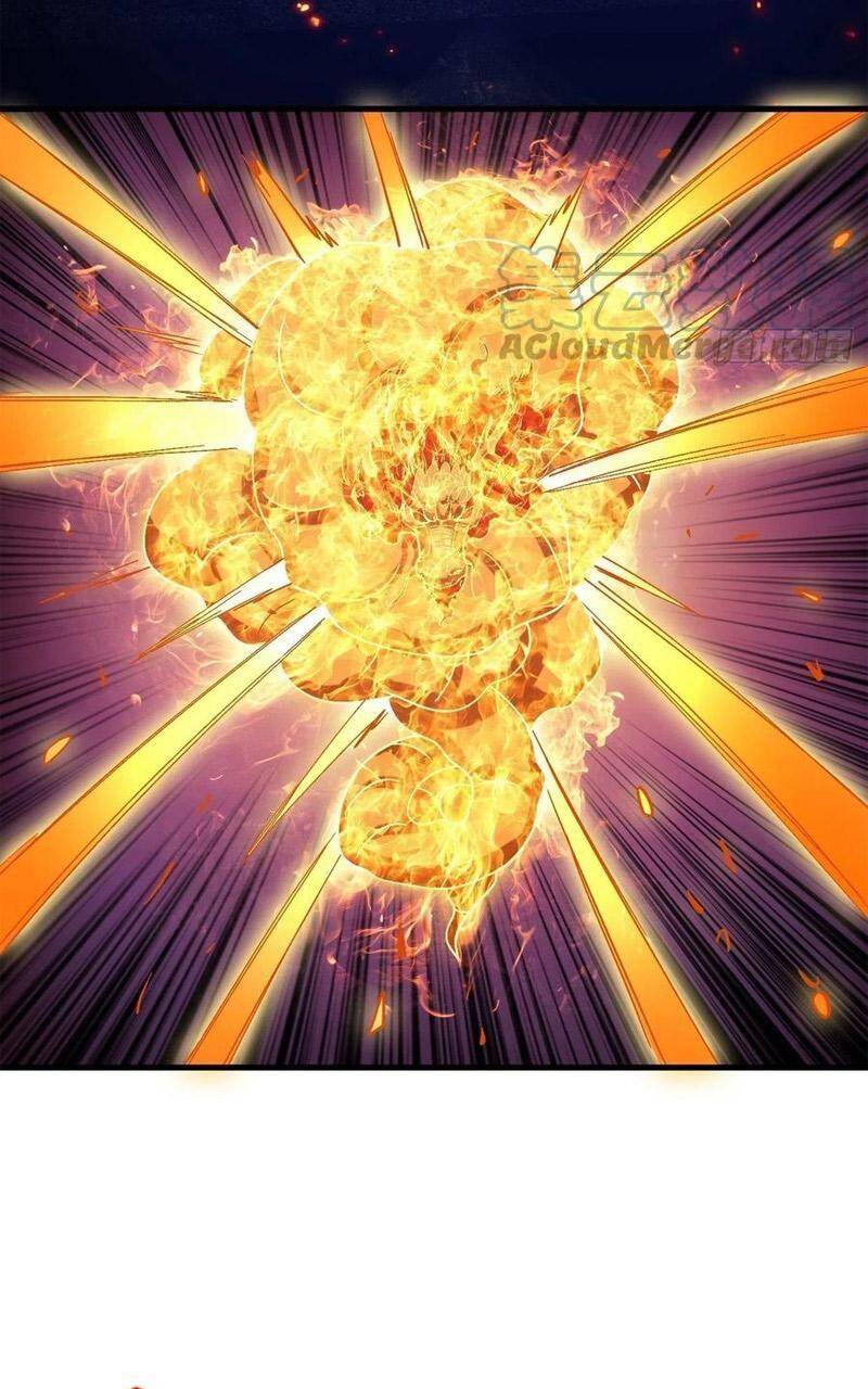 Trở Về Làm Đại Lão Thời Mạt Thế Chapter 255 - 38