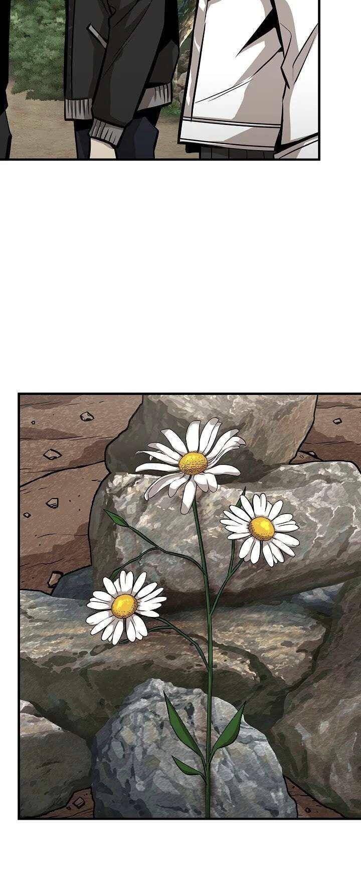 Return Survival Chapter 113 - 17