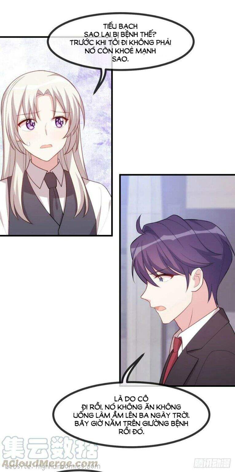 Tiểu Bạch Nam Thần Daddy Chapter 102 - 5