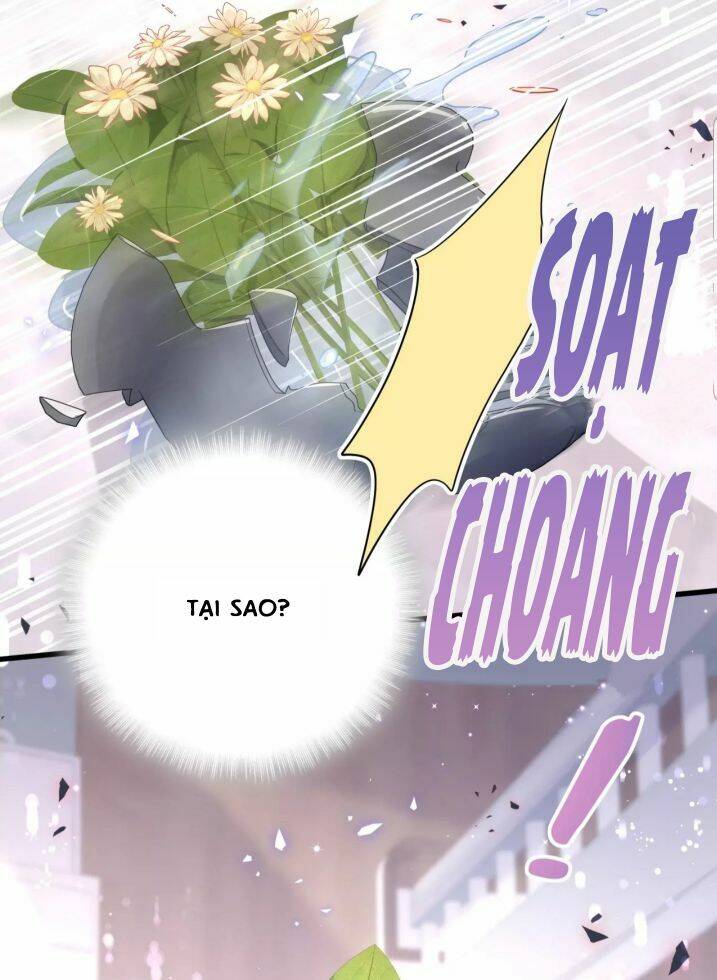 Đứa Bé Là Của Ai ???? Chapter 120 - 40