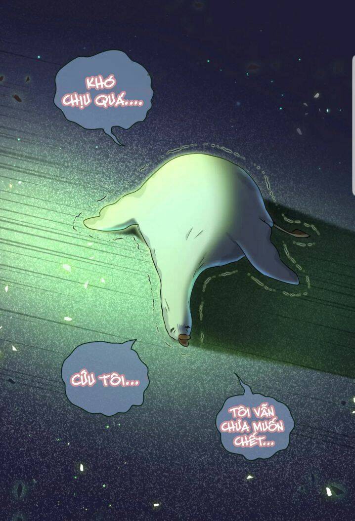 Đứa Bé Là Của Ai ???? Chapter 122 - 51