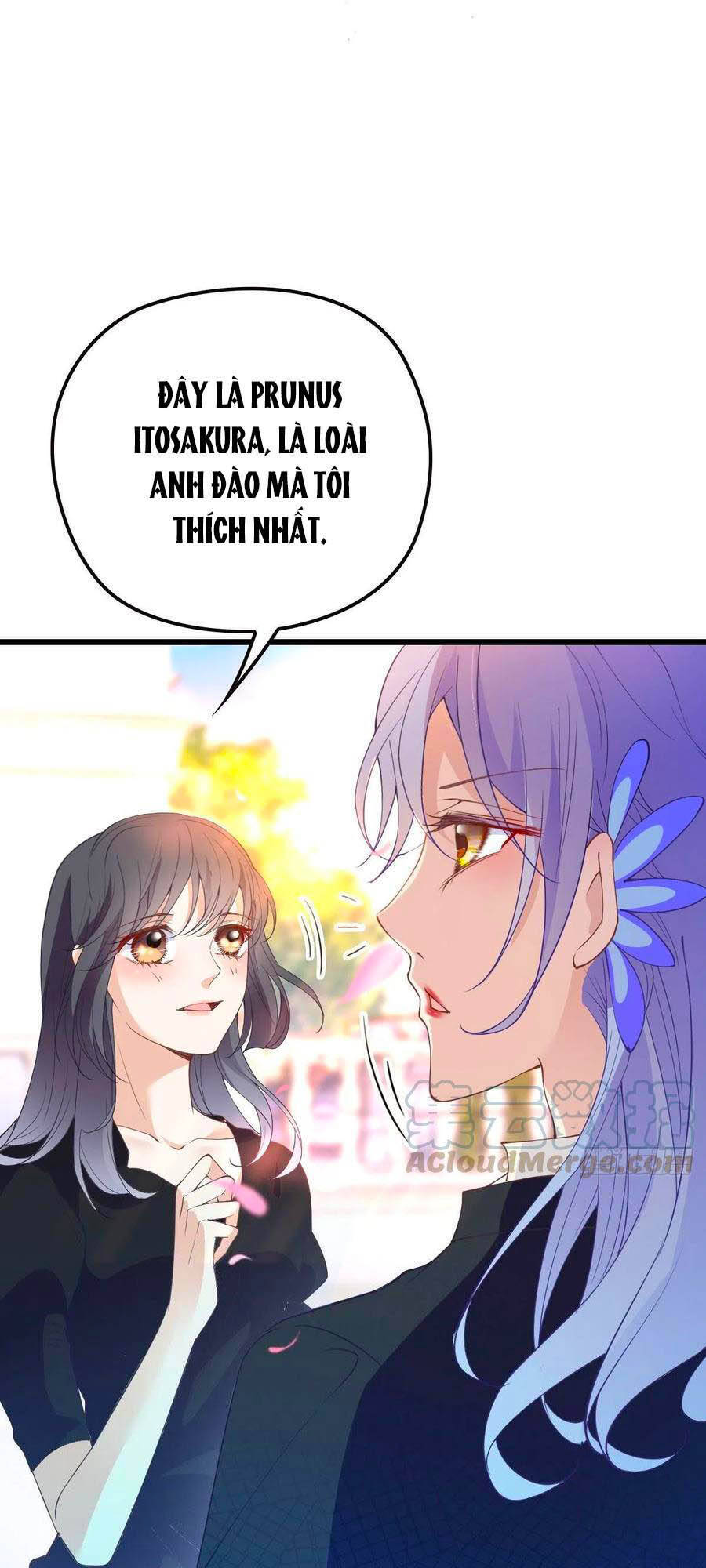 Cô Vợ Mang Thai Một Tặng Một Chapter 111 - 18