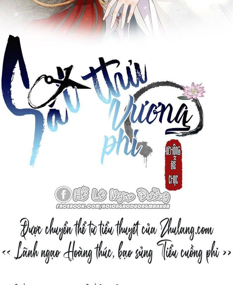 Sát Thủ Vương Phi Không Dễ Chọc Chapter 64 - 2
