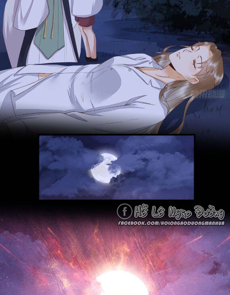 Sát Thủ Vương Phi Không Dễ Chọc Chapter 64 - 20