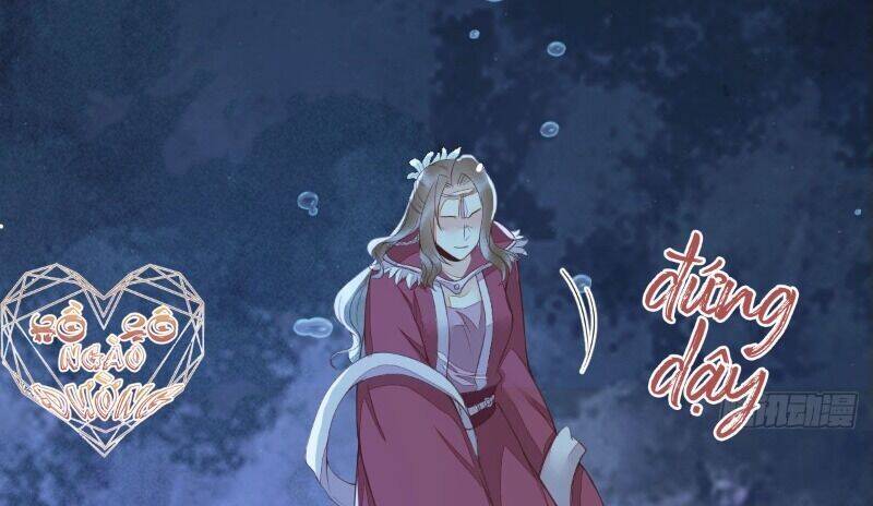 Sát Thủ Vương Phi Không Dễ Chọc Chapter 64 - 47