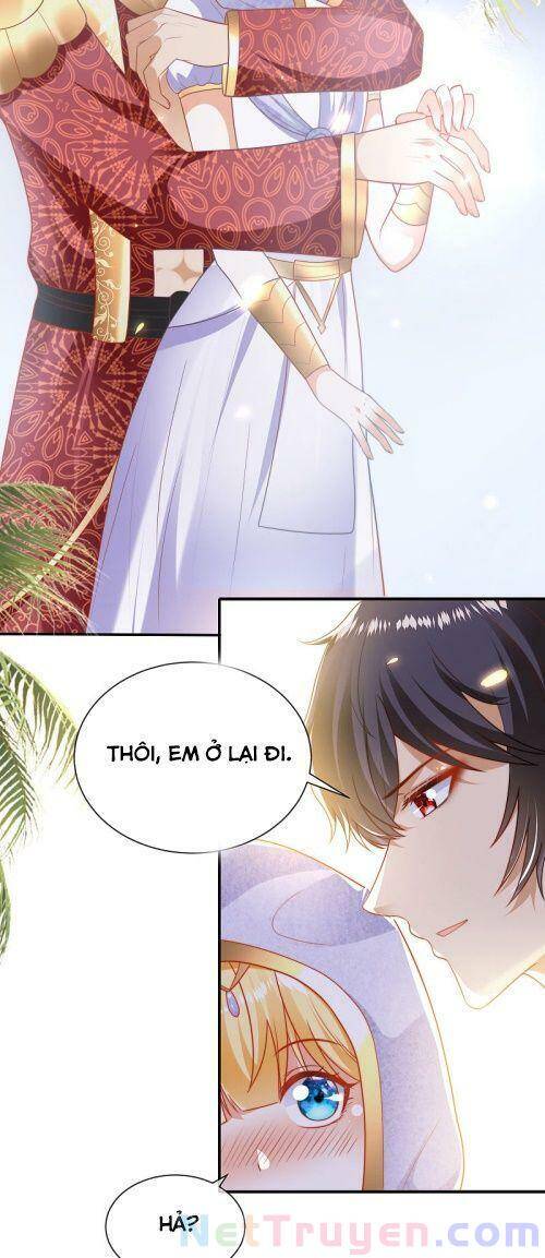Sủng Hậu Của Vương Chapter 100 - 13