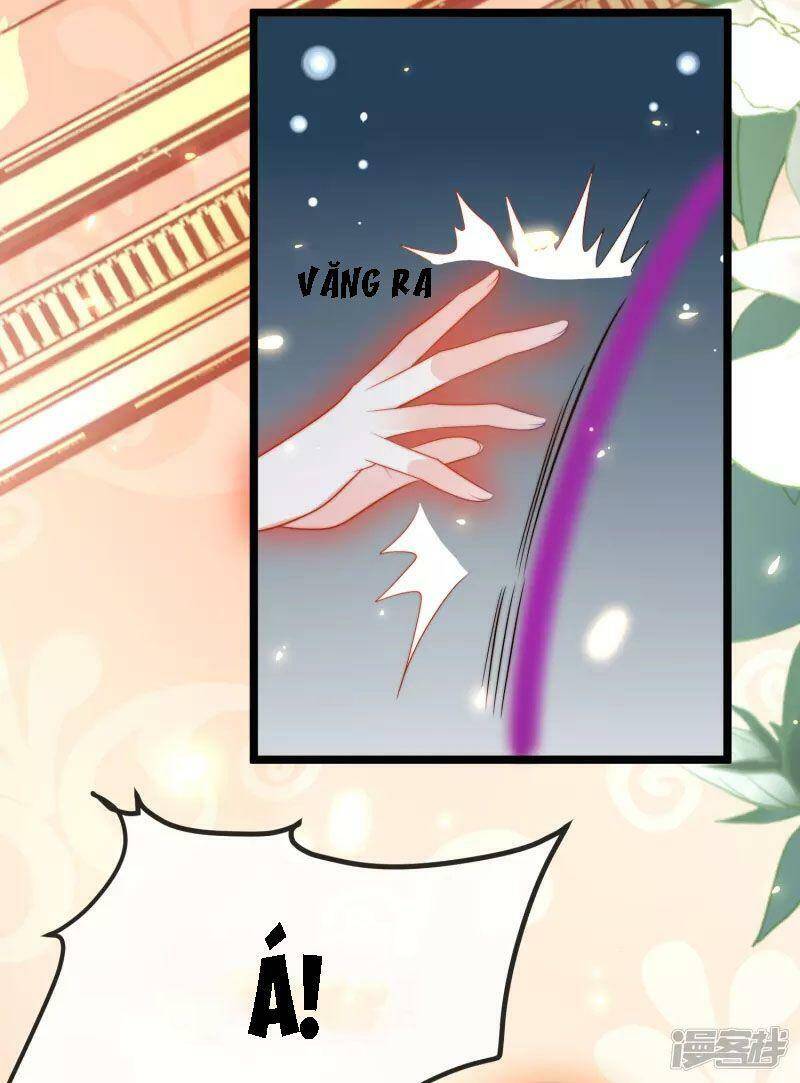 Sủng Hậu Của Vương Chapter 117 - 23