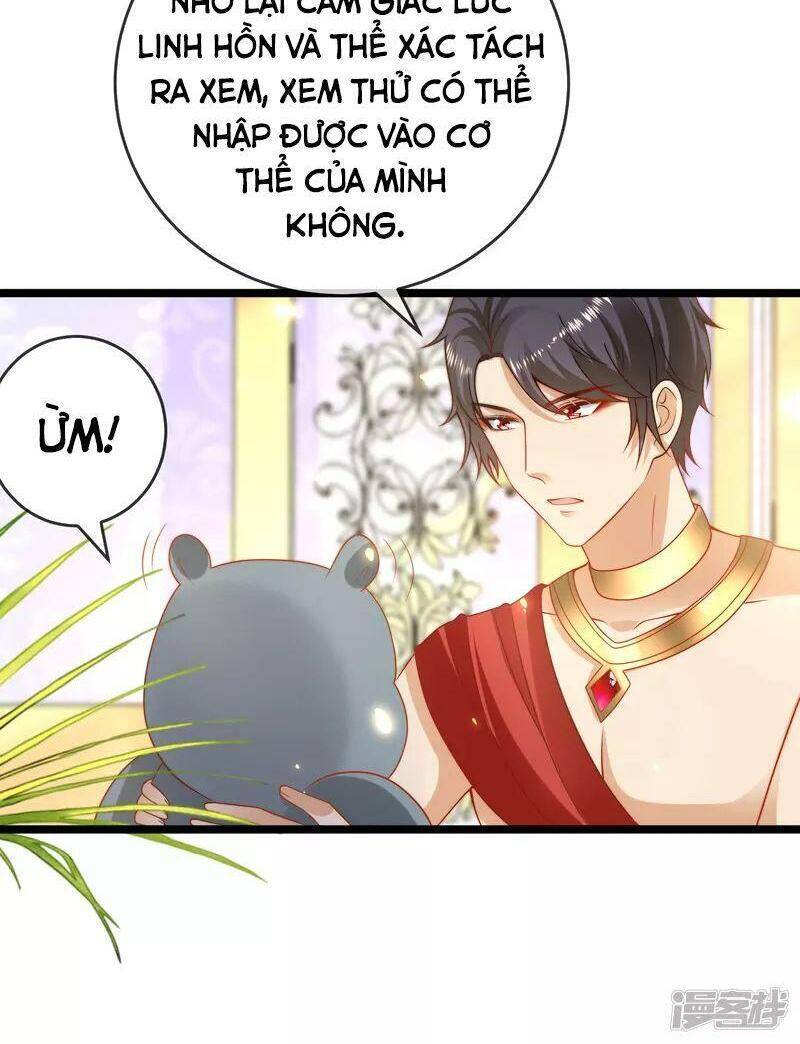 Sủng Hậu Của Vương Chapter 121 - 7