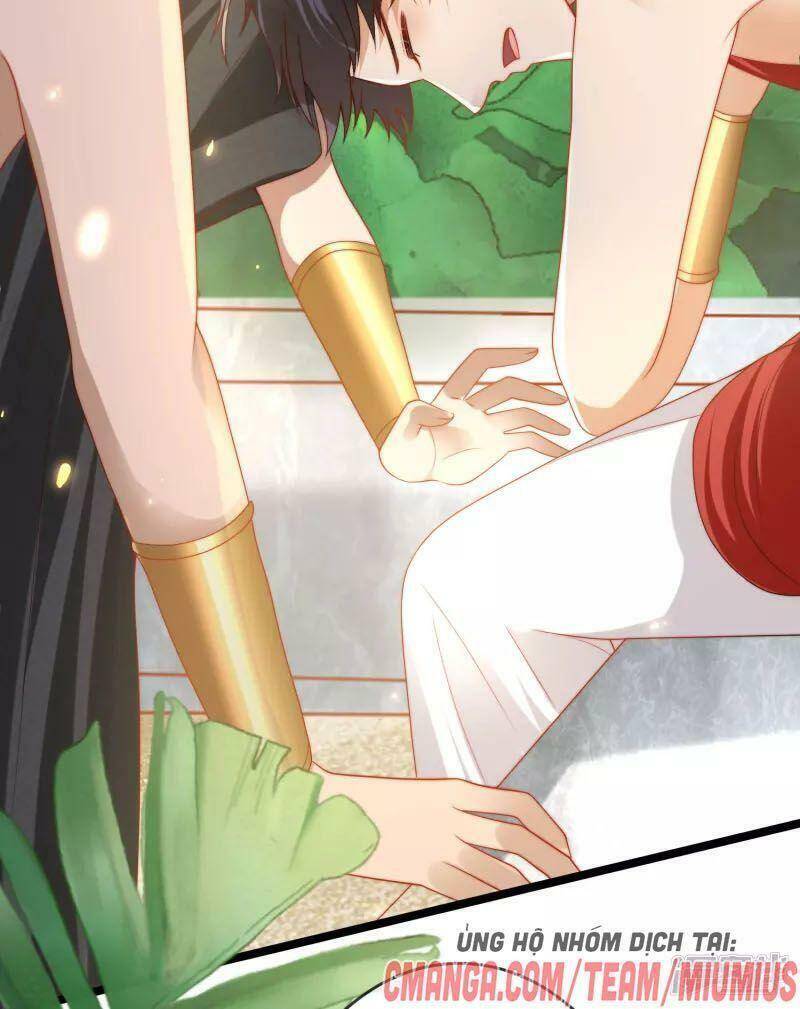 Sủng Hậu Của Vương Chapter 114 - 14
