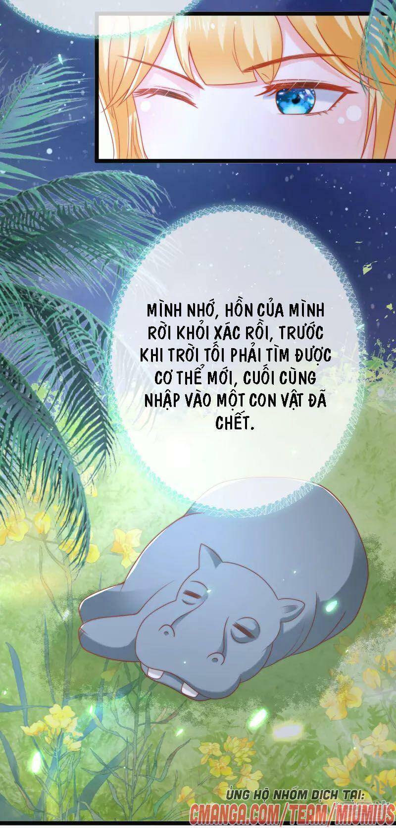 Sủng Hậu Của Vương Chapter 118 - 27