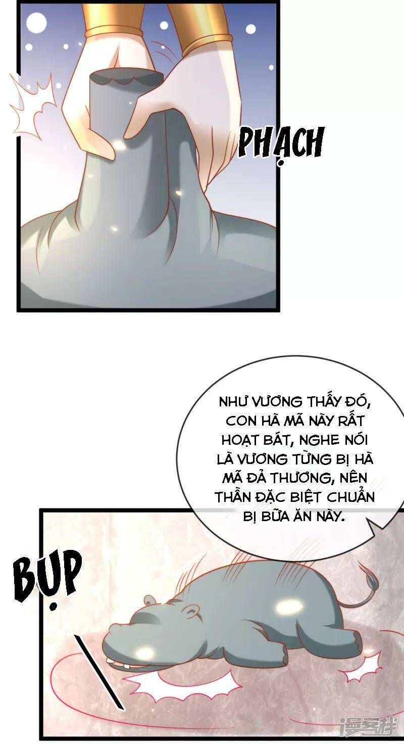 Sủng Hậu Của Vương Chapter 118 - 33