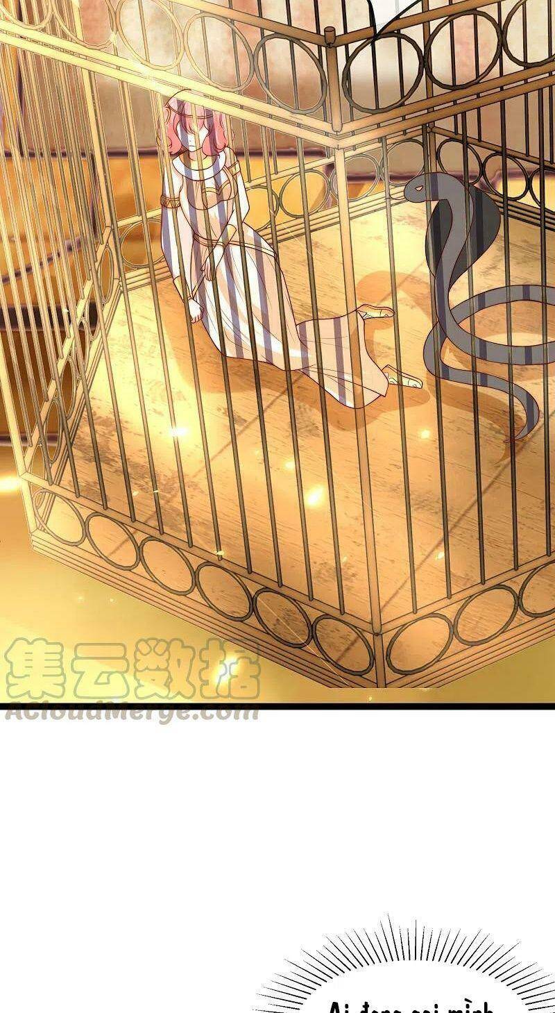 Sủng Hậu Của Vương Chapter 119 - 20